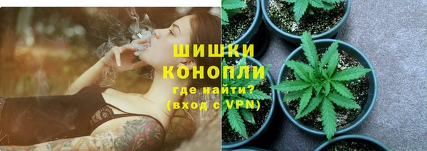 ГАЛЛЮЦИНОГЕННЫЕ ГРИБЫ Алзамай
