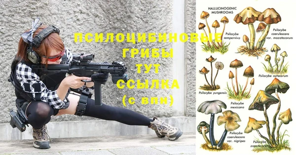 синтетический гашиш Абдулино