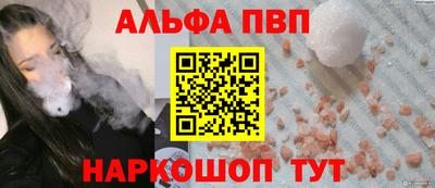 сатива Кингисепп