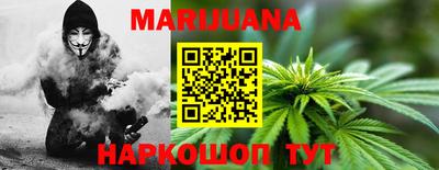 сатива Кингисепп