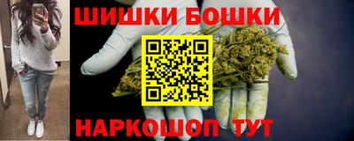 сатива Кингисепп