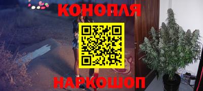 стаф Кимры