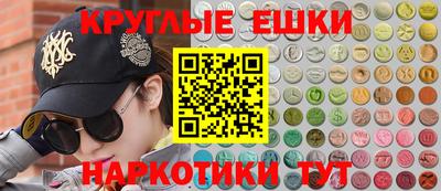 сатива Кингисепп