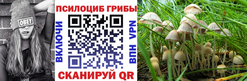 Псилоцибиновые грибы мухоморы  Хабаровск 