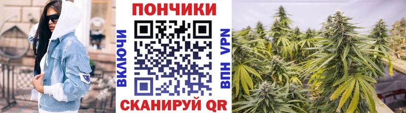 Канабис ГИДРОПОН  закладка  Хабаровск 